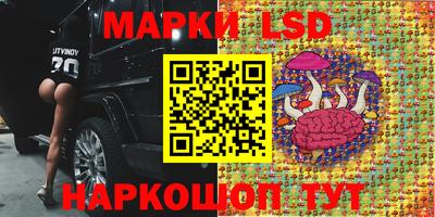 Альфа ПВП Канаш