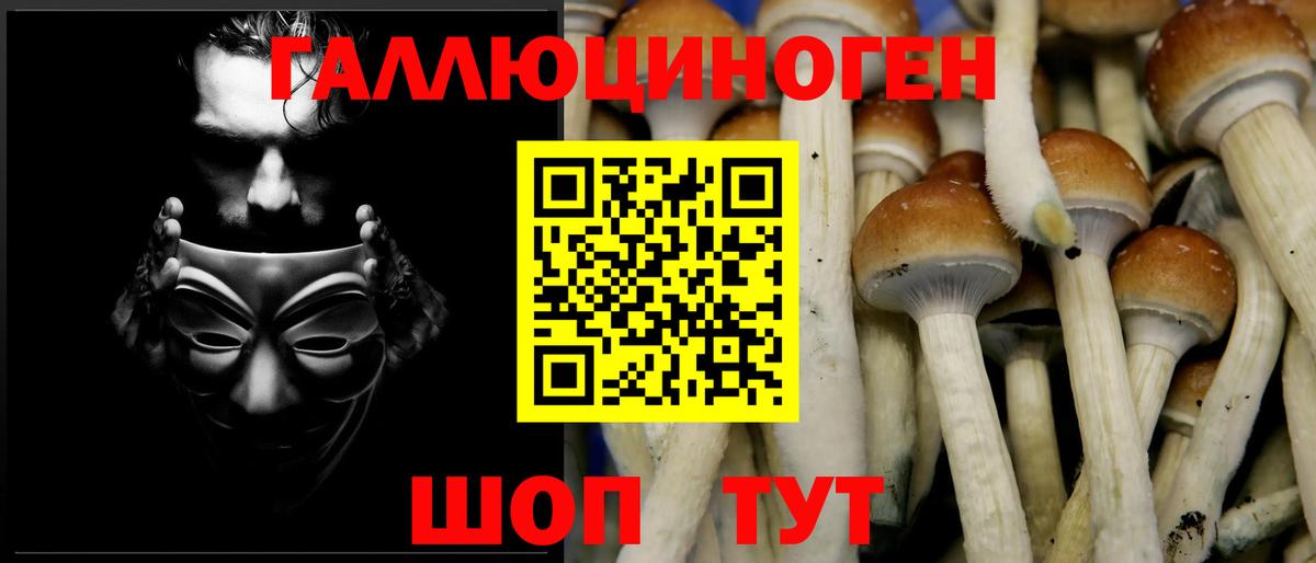Псилоцибиновые грибы ЛСД Кулебаки