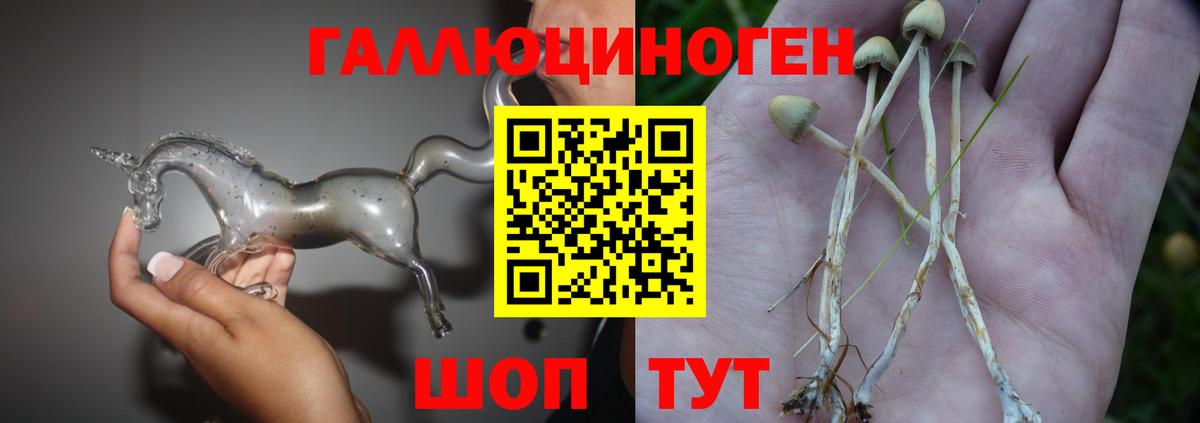 Псилоцибиновые грибы ЛСД  Вход с VPN  Галлюциногенные грибы GOLDEN TEACHER  Кулебаки 